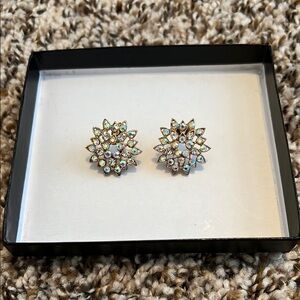 Elegant Crystal Flower Earrings
